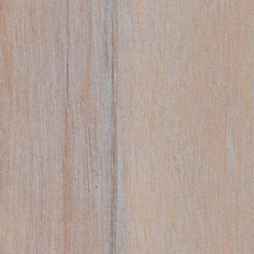 Acacia - BTDT-116