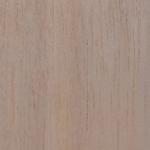 Acacia - BTDT-118