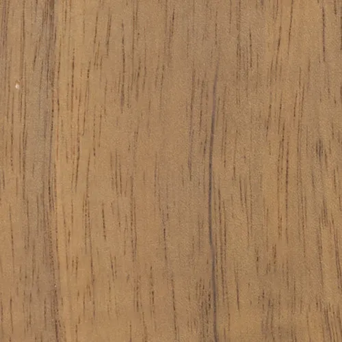 Acacia - BTDT-125