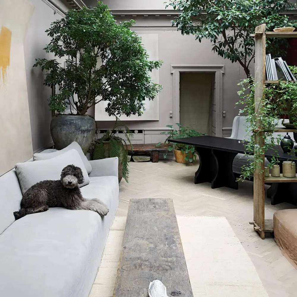 Espace de vie extérieur