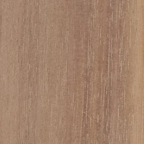 Acacia - BTDT-161