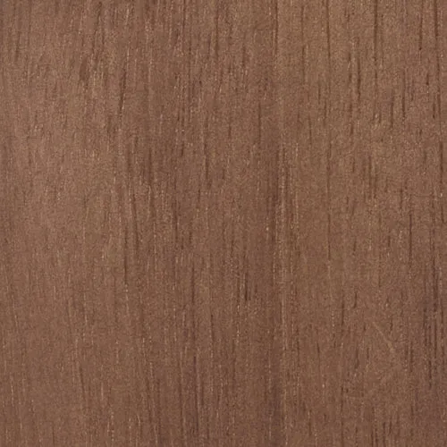 Acacia - BTDT-183