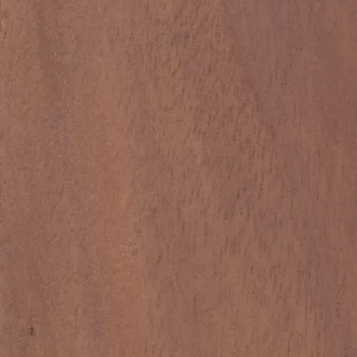 Acacia - BTDT-184