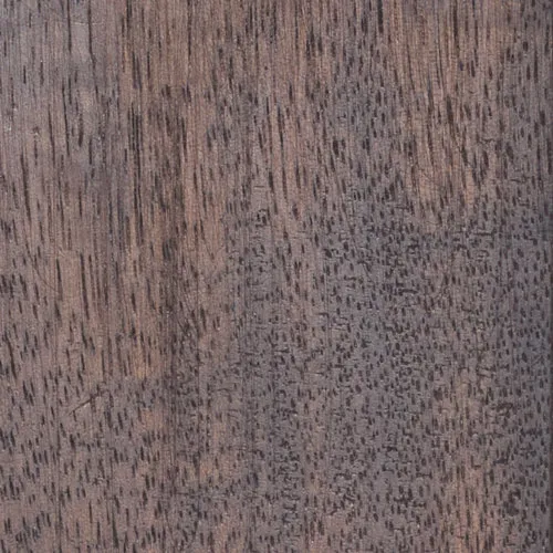 Acacia - BTDT-185