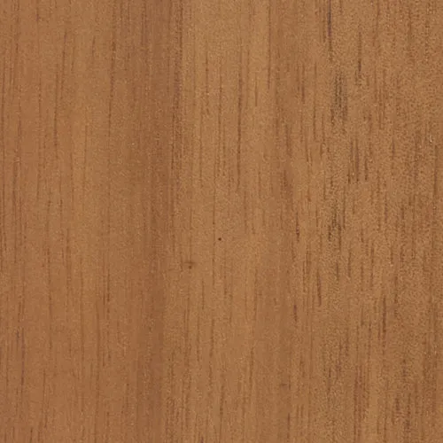 Acacia - BTDT-28