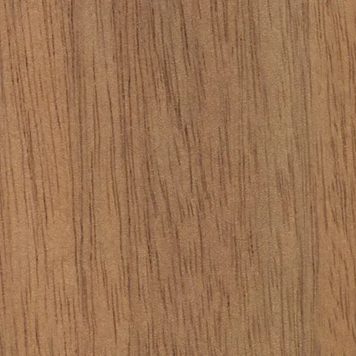 Acacia - BTDT-64