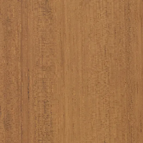 Acacia - BTDT-82 new