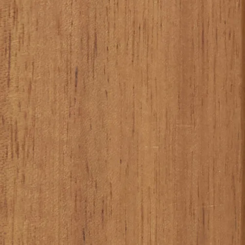Acacia - BTDT-87