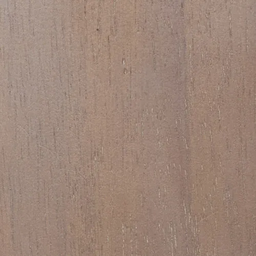 Acacia - DT-VP20