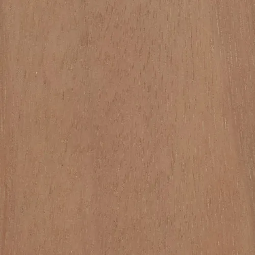 Eucalyptus - BTDT-121