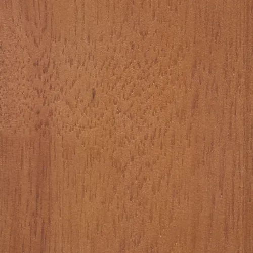 Eucalyptus - BTDT-124