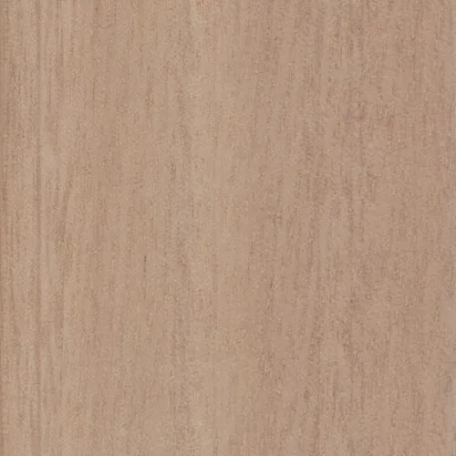 Eucalyptus - BTDT-131