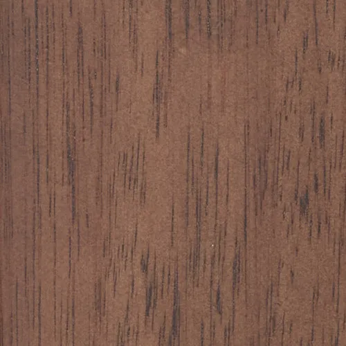 Eucalyptus - BTDT-134