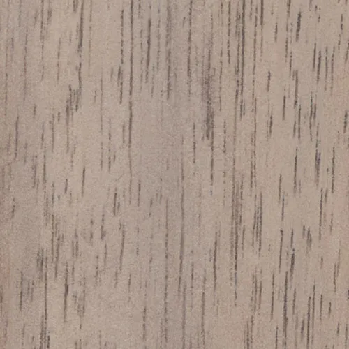 Eucalyptus - BTDT-138