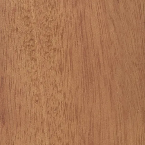 Eucalyptus - BTDT-143