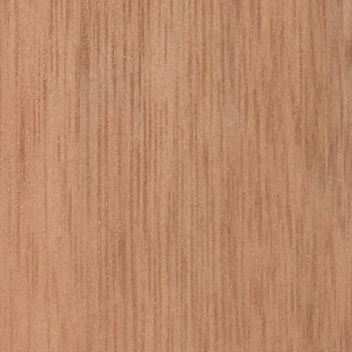 Eucalyptus - BTDT-146