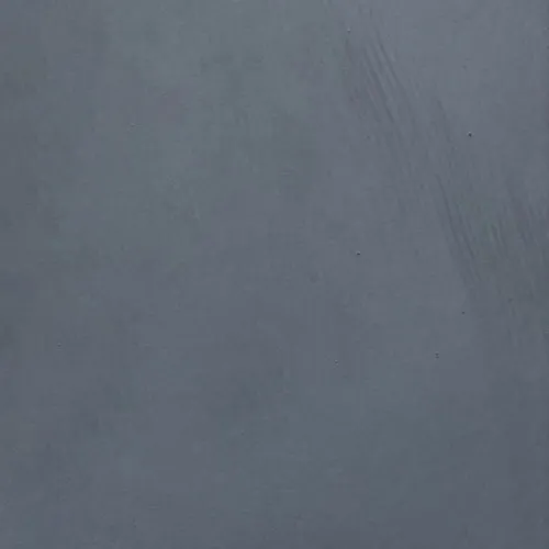 Eucalyptus - BTDT-154