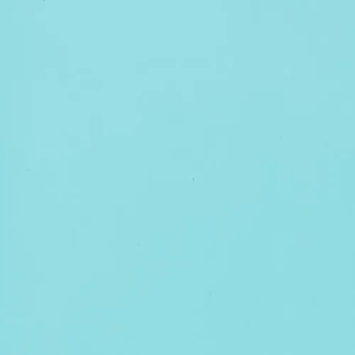 Eucalyptus - BTDT-155