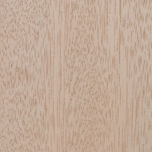 Eucalyptus - BTDT-159
