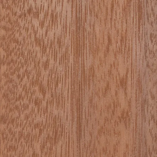Eucalyptus - BTDT-189