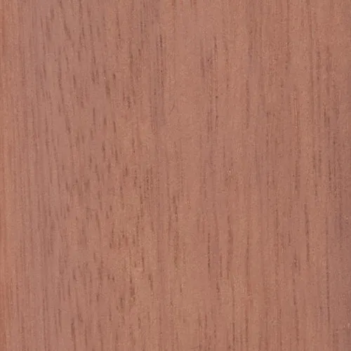Eucalyptus - BTDT-190