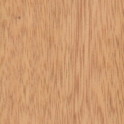 Eucalyptus - BTDT-191