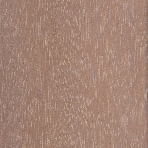 Eucalyptus - BTDT-70