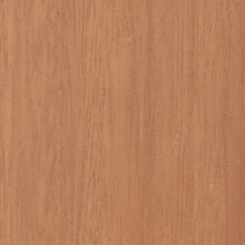 Eucalyptus - BTDT-75