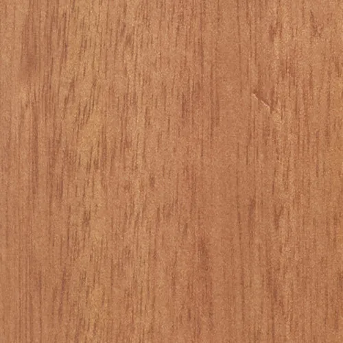 Eucalyptus - BTDT-91