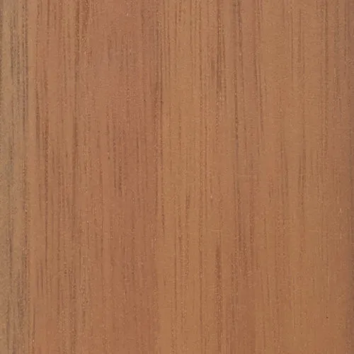 Eucalyptus - BTDT-94
