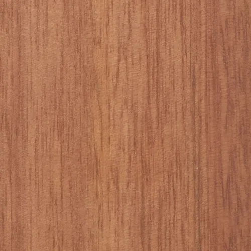 Eucalyptus - BTDT-98