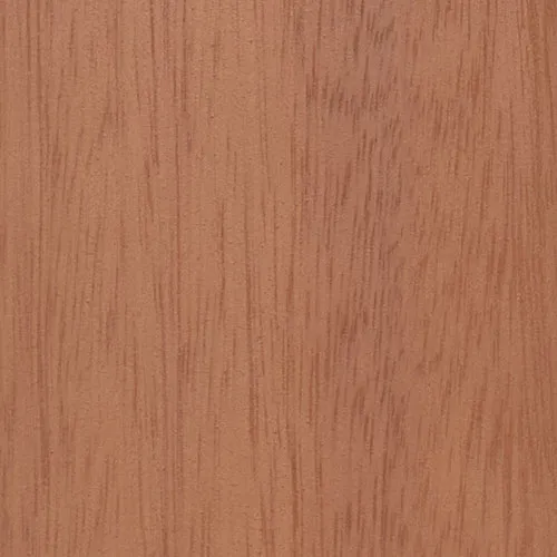Eucalyptus - HN 04